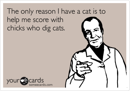 The only reason I have a cat is to help me score with
chicks who dig cats.