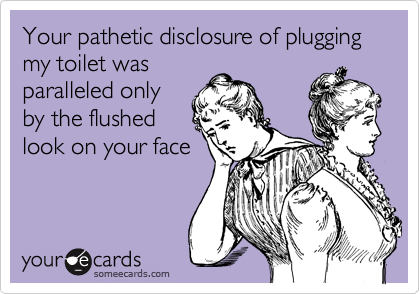 Your pathetic disclosure of plugging my toilet was
paralleled only
by the flushed
look on your face