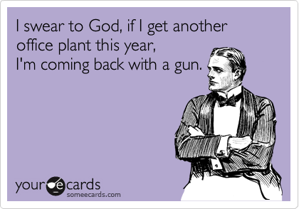 I swear to God, if I get another office plant this year, 
I'm coming back with a gun.
