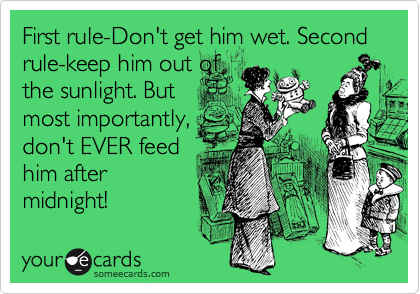 First rule-Don't get him wet. Second rule-keep him out of
the sunlight. But
most importantly,
don't EVER feed
him after
midnight!