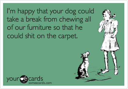 I'm happy that your dog could
take a break from chewing all
of our furniture so that he
could shit on the carpet.