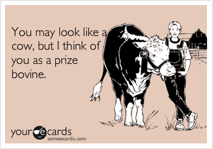 
You may look like a
cow, but I think of
you as a prize
bovine.