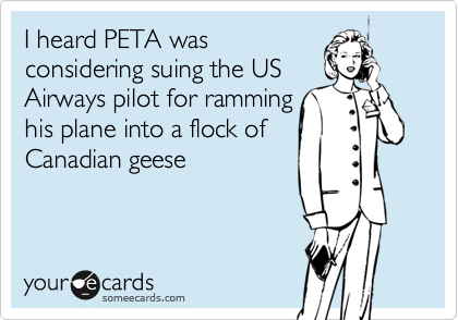 I heard PETA wasconsidering suing the USAirways pilot for ramminghis plane into a flock ofCanadian geese