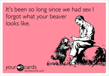 It's been so long since we had sex I forgot what your beaver
looks like.