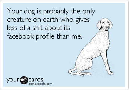 Your dog is probably the only creature on earth who gives 
less of a shit about its
facebook profile than me.