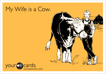 My Wife is a Cow.