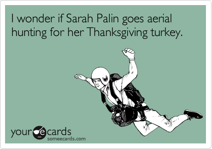 I wonder if Sarah Palin goes aerial hunting for her Thanksgiving turkey.