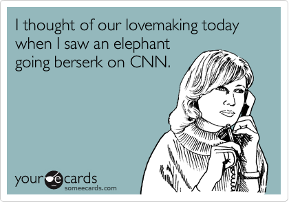 I thought of our lovemaking today when I saw an elephant
going berserk on CNN.