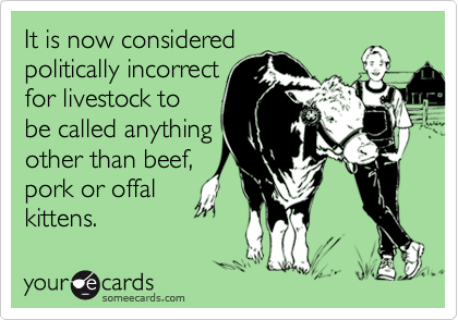 It is now considered
politically incorrect
for livestock to
be called anything
other than beef,
pork or offal
kittens.