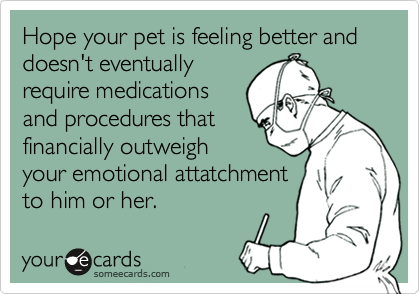 Hope your pet is feeling better and doesn't eventually
require medications
and procedures that
financially outweigh 
your emotional attatchment
to him or her.