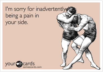 I'm sorry for inadvertently being a pain in your side.