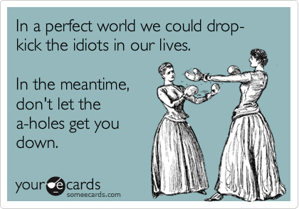 In a perfect world we could drop-kick the idiots in our lives. 

In the meantime,
don't let the
a-holes get you
down.