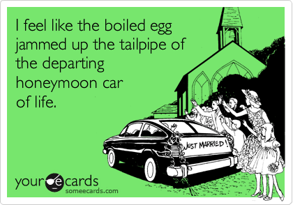 I feel like the boiled egg
jammed up the tailpipe of 
the departing
honeymoon car
of life.