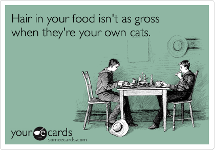 Hair in your food isn't as gross when they're your own cats.