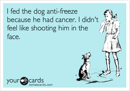 I fed the dog anti-freeze
because he had cancer. I didn't
feel like shooting him in the
face.