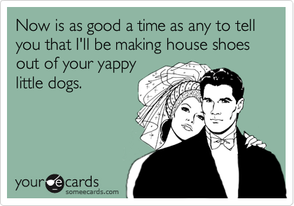 Now is as good a time as any to tell you that I'll be making house shoes out of your yappylittle dogs.