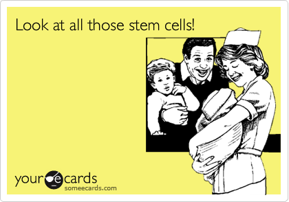 Look at all those stem cells!