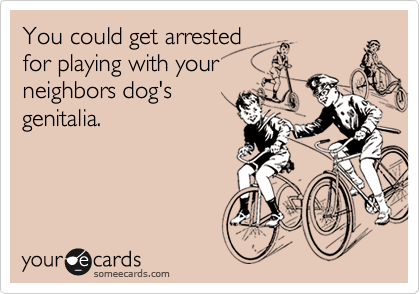 You could get arrestedfor playing with yourneighbors dog'sgenitalia.