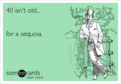 40 isn't old... 


for a sequoia.

