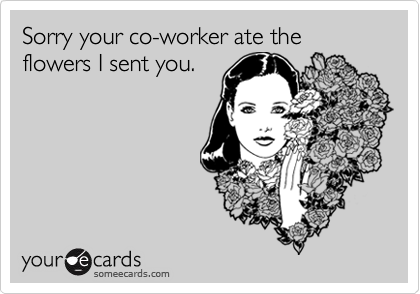 Sorry your co-worker ate the flowers I sent you.