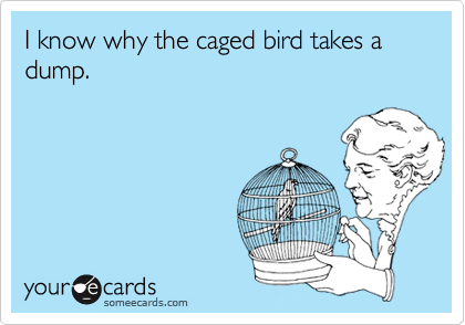 I know why the caged bird takes a dump.