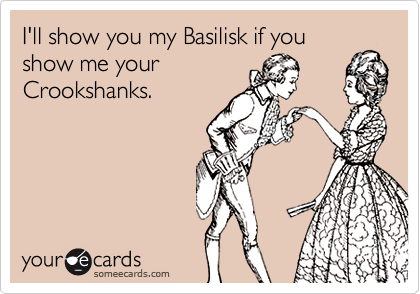 I'll show you my Basilisk if you
show me your
Crookshanks.