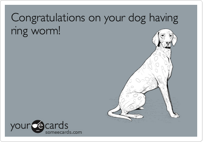 Congratulations on your dog having ring worm!