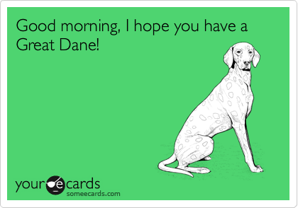 Good morning, I hope you have a Great Dane!
