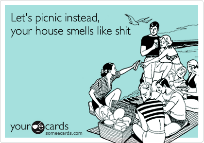 Let's picnic instead,
your house smells like shit