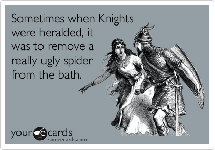 Sometimes when Knights
were heralded, it
was to remove a
really ugly spider
from the bath.