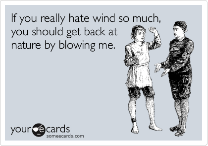 If you really hate wind so much,
you should get back at
nature by blowing me.