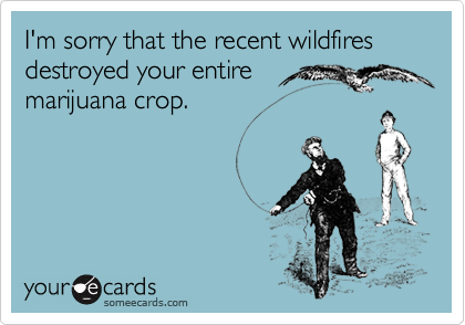 I'm sorry that the recent wildfires destroyed your entire
marijuana crop.