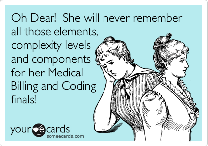 Oh Dear!  She will never remember all those elements,
complexity levels
and components
for her Medical
Billing and Coding
finals!