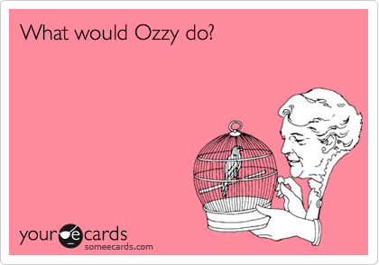 What would Ozzy do?