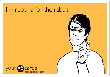 I'm rooting for the rabbit!
