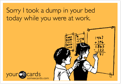 Sorry I took a dump in your bed today while you were at work.