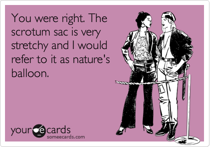 You were right. The
scrotum sac is very
stretchy and I would
refer to it as nature's
balloon.