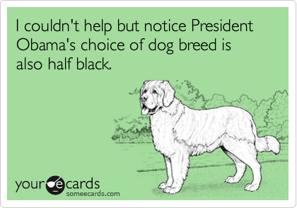 I couldn't help but notice President Obama's choice of dog breed is also half black.
