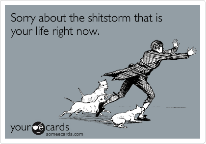 Sorry about the shitstorm that is your life right now.
