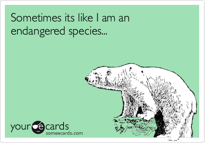 Sometimes its like I am an endangered species...