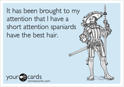 It has been brought to my
attention that I have a
short attention spaniards
have the best hair.
