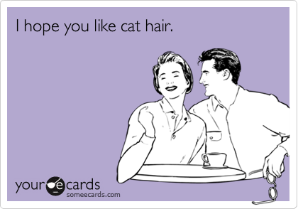 I hope you like cat hair.