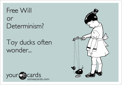 Free Will 
or 
Determinism?

Toy ducks often
wonder...
 