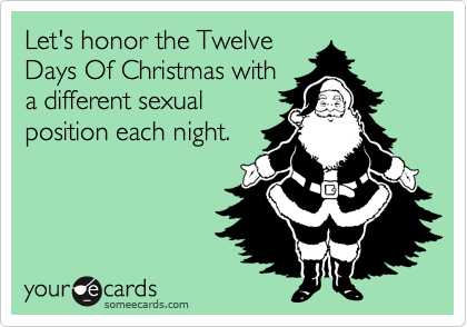 Let's honor the Twelve
Days Of Christmas with
a different sexual
position each night.