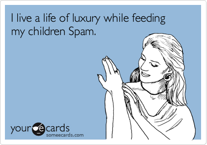 I live a life of luxury while feeding my children Spam.
