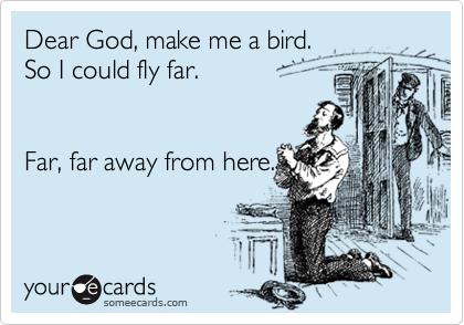 Dear God, make me a bird. 
So I could fly far. 


Far, far away from here.

