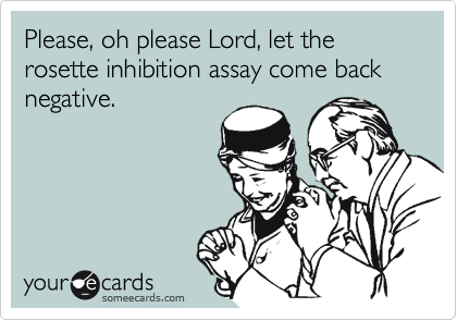 Please, oh please Lord, let the  rosette inhibition assay come back negative.