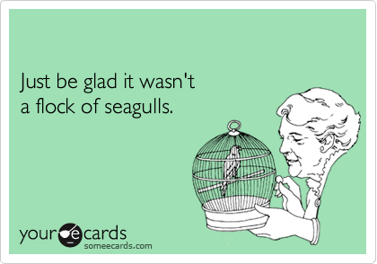 Just be glad it wasn't a flock of seagulls.