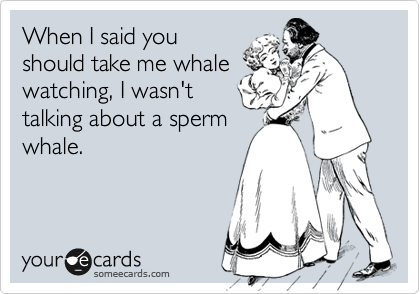 When I said you
should take me whale
watching, I wasn't
talking about a sperm
whale.