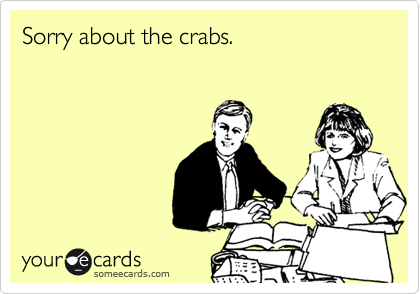 Sorry about the crabs.